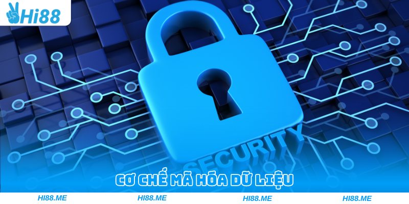 Chính Sách Bảo Mật - Cách Thức Hi88 Bảo Vệ Người Chơi